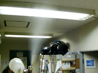 �����G�}���ē�