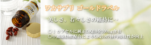 ���J�T�v���S�[���h���Љ�